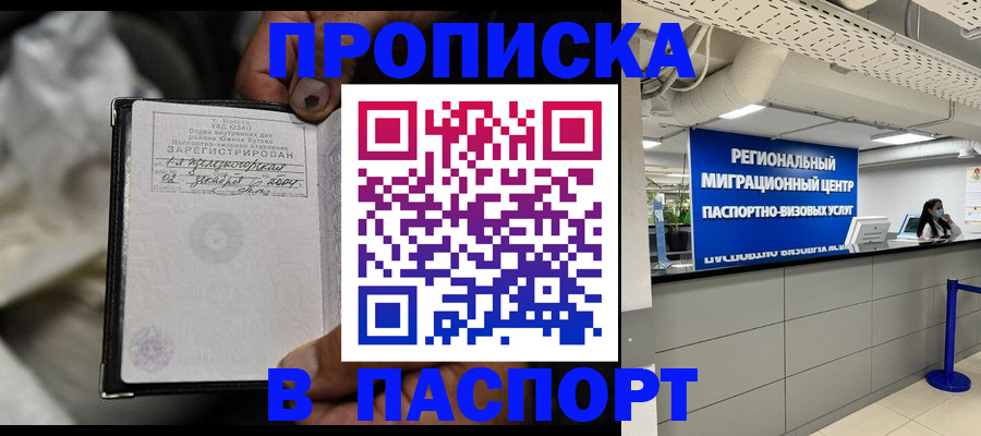временная регистрация для школы в Камчатской области