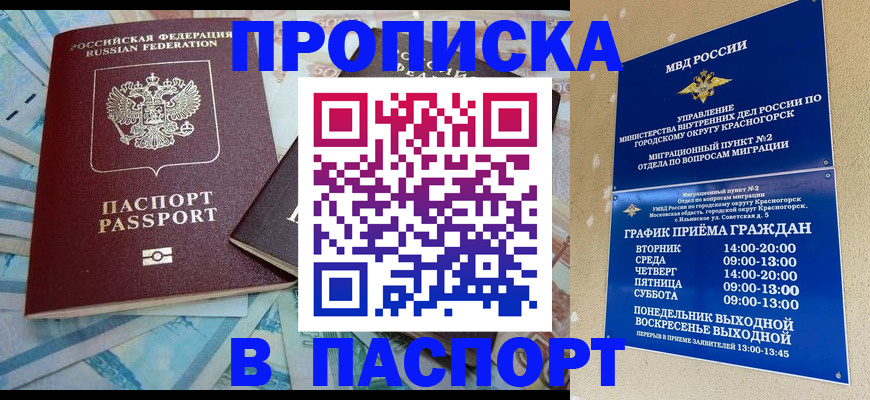 найти адрес прописки в Камчатской области